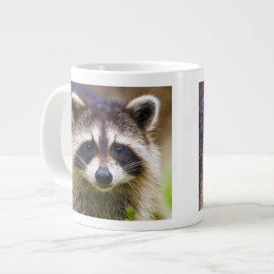Taza De Café Gigante El mapache, Procyon lotor