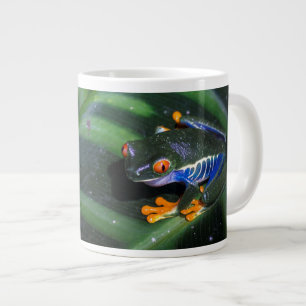 Taza De Café Gigante El rojo observa la rana en la hoja