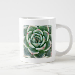 Taza De Café Gigante El rojo verde suculento