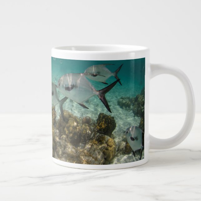 Taza De Café Gigante Escuela de peces permitidos (Derecha)