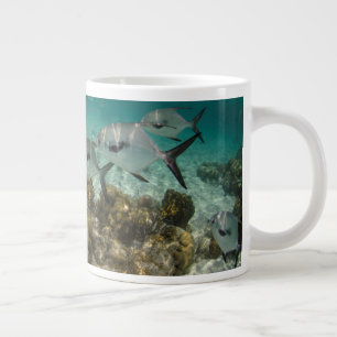 Taza De Café Gigante Escuela de Pescado Permiso