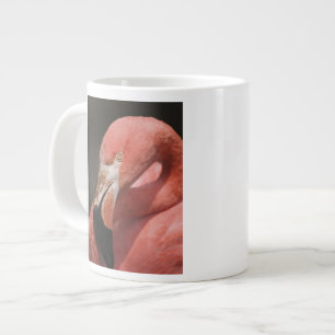 Taza De Café Gigante Flamenco Chileno, Phoenicopterus chilensis