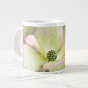 Taza De Café Gigante Flor de dogwood Cornus Kousa 'Miss Satomi'