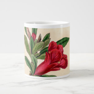 Taza De Café Gigante Flor de granada - detalle de ilustracion vintage