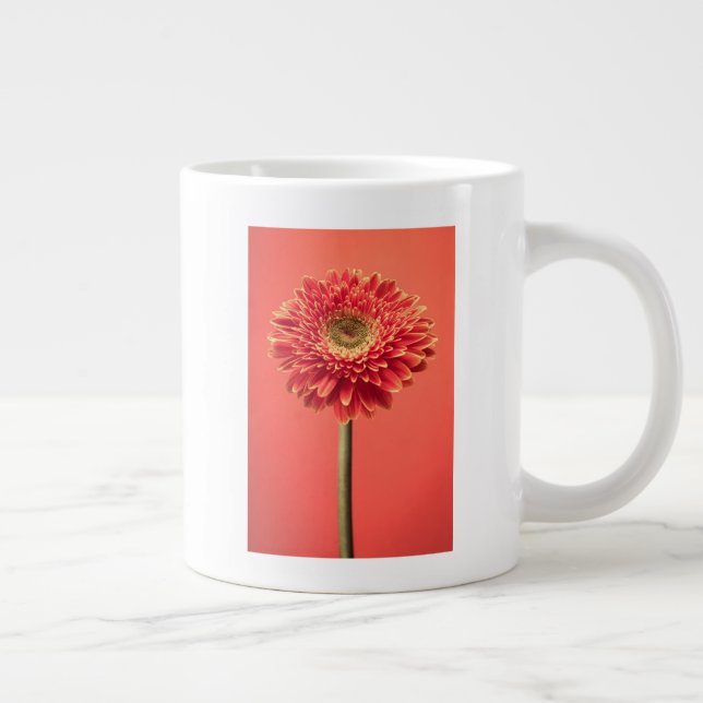 Taza De Café Gigante Flor roja Barberton Gerbera Daisy (Derecha)