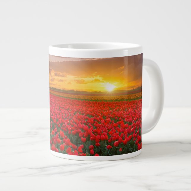Taza De Café Gigante Flores | Jardín Botánico Holanda (Derecha)