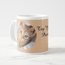 Foto de gato, Texto, reemplazable, Divertido, Aman