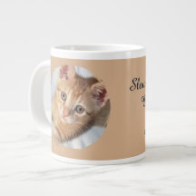 Foto de gato, Texto, reemplazable, Divertido, Aman