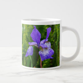 Taza De Café Gigante Fotografía floral de Iris sibirica