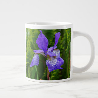 Taza De Café Gigante Fotografía floral de Iris sibirica