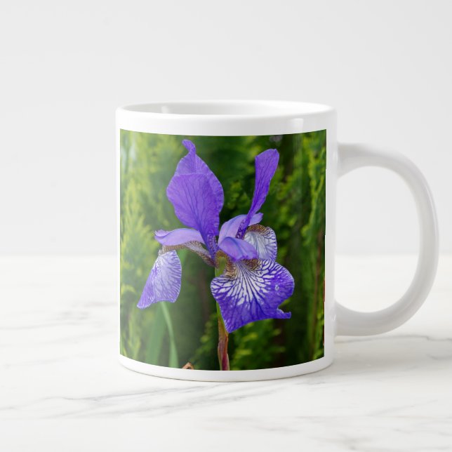 Taza De Café Gigante Fotografía floral de Iris sibirica (Derecha)