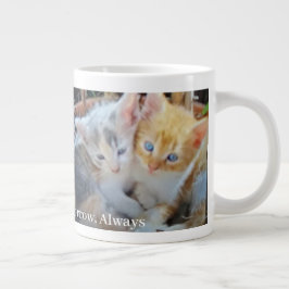 Taza De Café Gigante Fotos de gatitos con cita