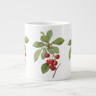 Taza De Café Gigante Fruta Antigua Cereza Comida, Cerezas de Redoute