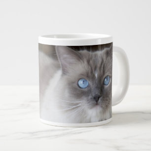 Taza De Café Gigante Gata Ragdoll hembra
