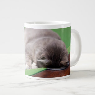 Taza De Café Gigante Gatito que juega al billar