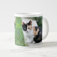 Gato Fantasma de la Ópera