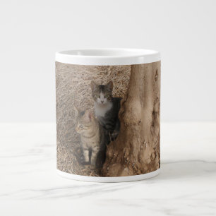 TAZA DE CAFÉ GIGANTE GATOS DE CAMPO PARA LOS AMANTES DE LA NATURALEZA