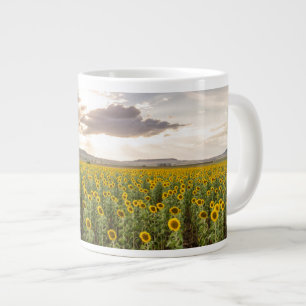 Taza De Café Gigante Girasoles al atardecer