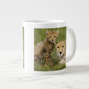 Taza De Café Gigante Guepardo, Acinonyx jubatus, con cría
