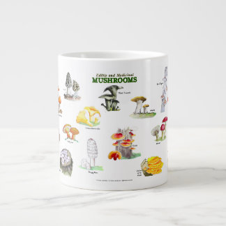 Taza De Café Gigante Hongos -Nombres comunes