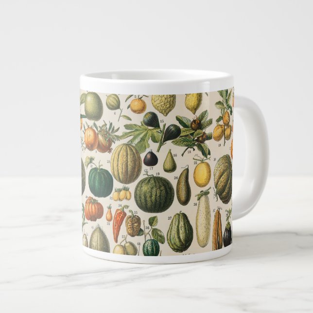 Taza De Café Gigante Ilustracion científico botánico de frutas (Derecha)