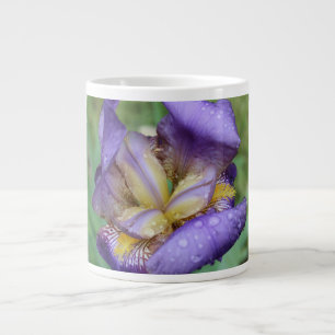 Taza De Café Gigante Iris morado (Iris Germanica)