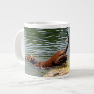 Taza De Café Gigante Lago Ladybird - Centro de Austin Texas