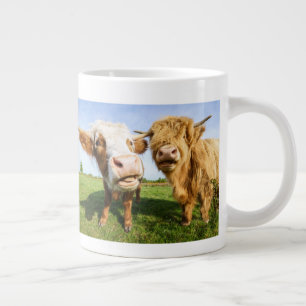 Taza De Café Gigante Las divertidas vacas de Highland