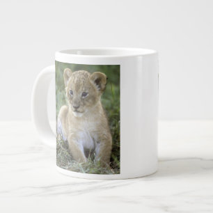 Taza De Café Gigante león africano, Panthera leo), Tanzania,