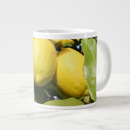 Taza De Café Gigante Limones amarillos frescos en un árbol
