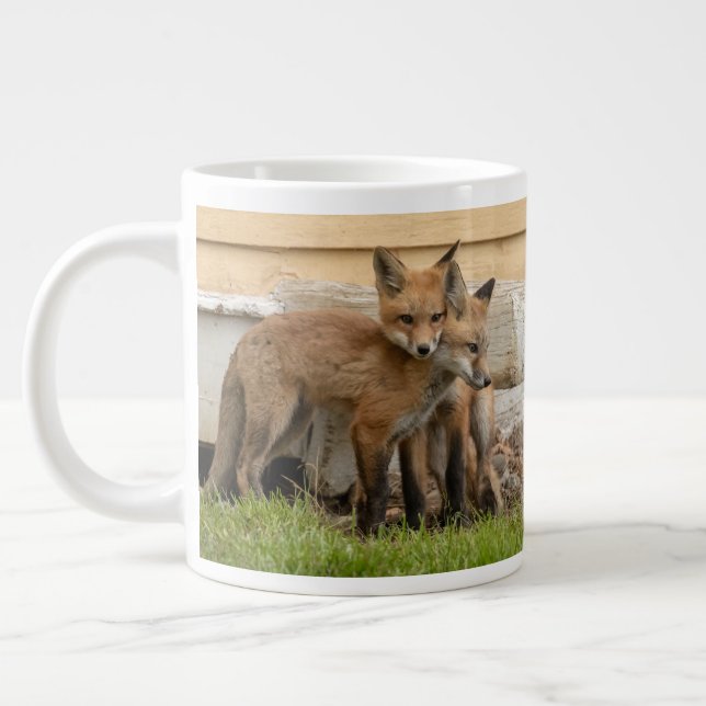 Taza De Café Gigante Logrando Fox Kits (Izquierda)