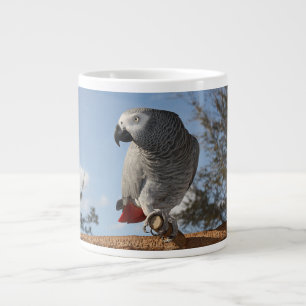 Taza De Café Gigante Loro imponente del gris africano
