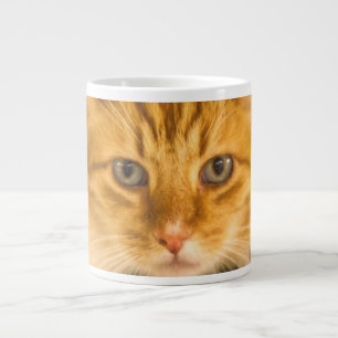 TAZA DE CAFÉ GIGANTE MAINE COON CAT STARE DOBLADO