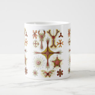 Taza De Café Gigante Manzanilla silvestre de Ernst Haeckel, naturaleza 