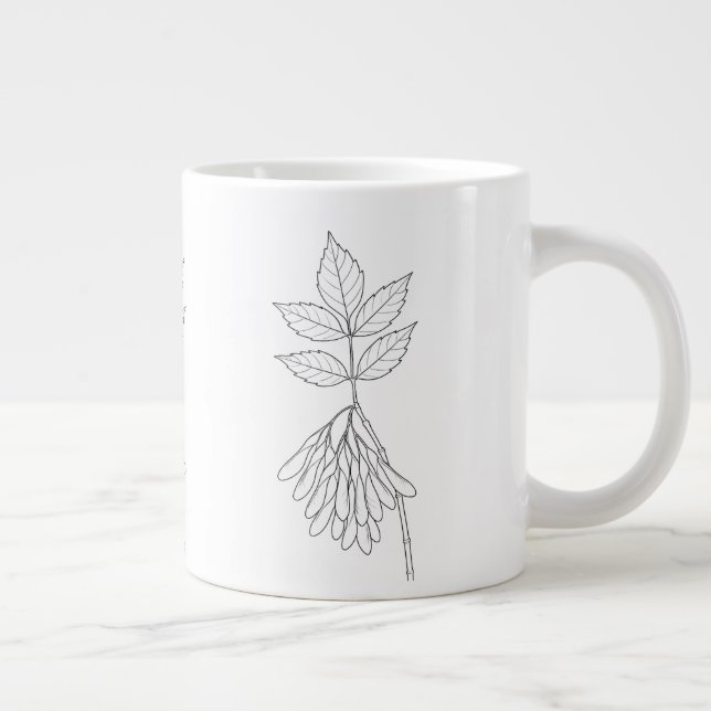 Taza De Café Gigante Maple Boxelder - Acer Negundo - Plantas nativas (Derecha)