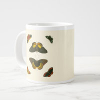 Mariposas brillantes por Pieter Cramer