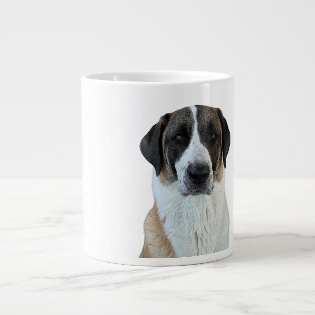 Taza De Café Gigante Mug de la especialidad de perro pastor anatoliano (Frente)