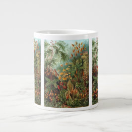 Taza De Café Gigante Muscinae vintage, plantas de musgo de Ernst Haecke
