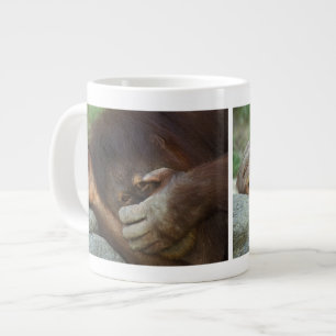 Taza De Café Gigante Orangután de Sumatra, Pongo pygmaeus
