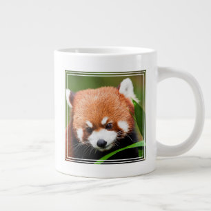Taza De Café Gigante Panda Rojo Adorable