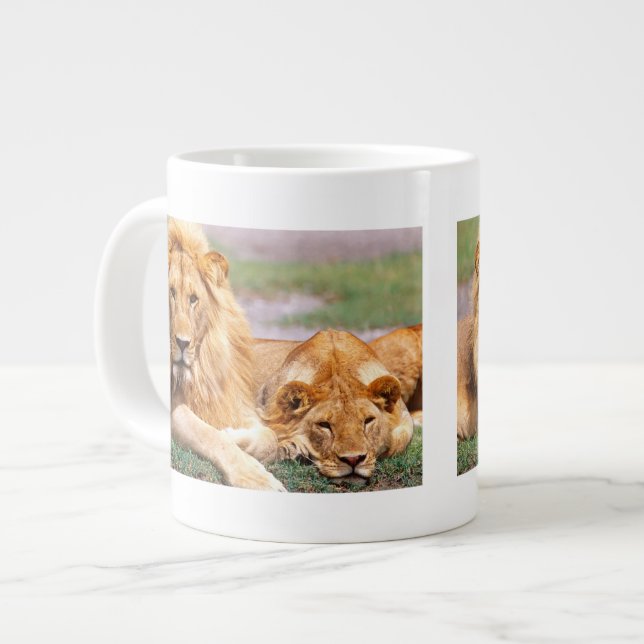 Taza De Café Gigante Pareja de Leones Africanos, Panthera leo, Tanzania (Izquierda)