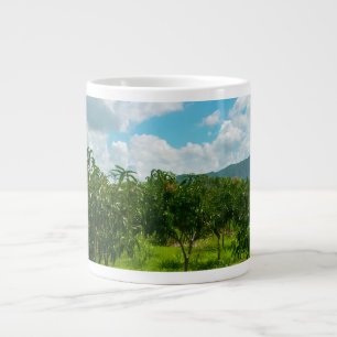 Taza De Café Gigante Plantación de Mango Dambulla Sri Lanka Reloj de Pa
