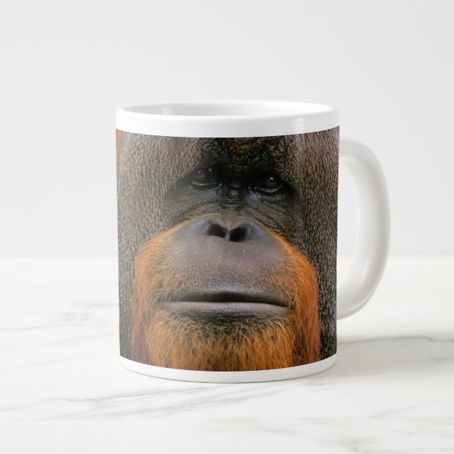 Taza De Café Gigante Portrait of Orang-utang Male, Georgia, USA (Derecha)