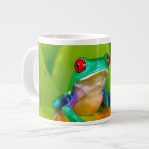 Taza De Café Gigante Rana de ojos rojos, Costa Rica