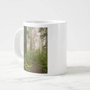 Taza De Café Gigante Rhododendron floreciendo entre las secuoyas coster