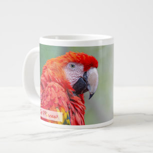 Taza De Café Gigante Scarlet Macaw Salm 91:4 KJV