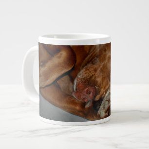 Taza De Café Gigante Shy Chocolate Lab Pit Mix Dog