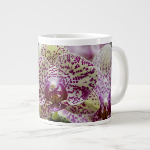 Taza De Café Gigante Singapur (sánscrito para Ciudad León). Nacional