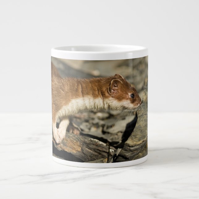 Taza De Café Gigante Sniffing Weasel (Frente)