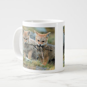 Taza De Café Gigante Sudamérica, Chile, Torres del Paine Nacional